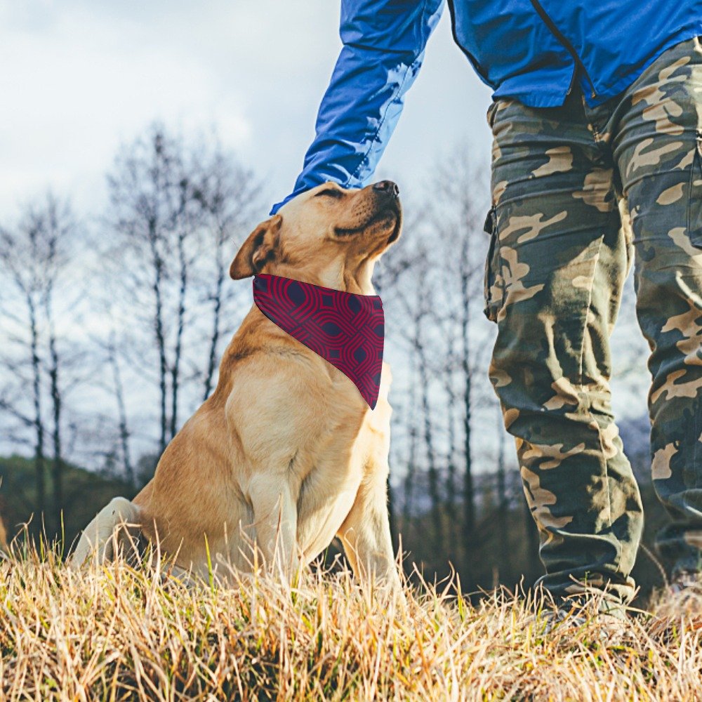 Canine Companionship on the Hike: How to  Explore Nature’s Beauty.